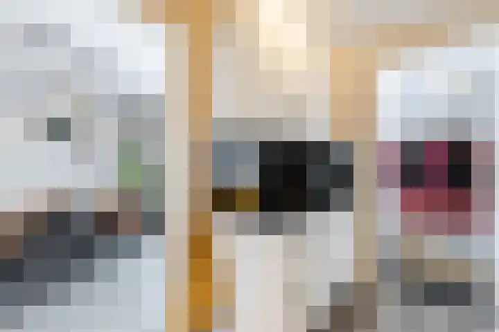 Grebbelaan 9 Scherpenzeel thumbnail 8