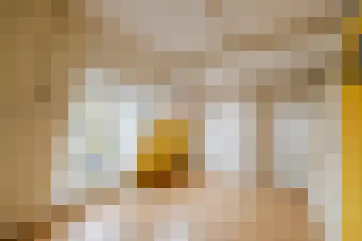 Grebberstraat 38 Haarlem thumbnail 33