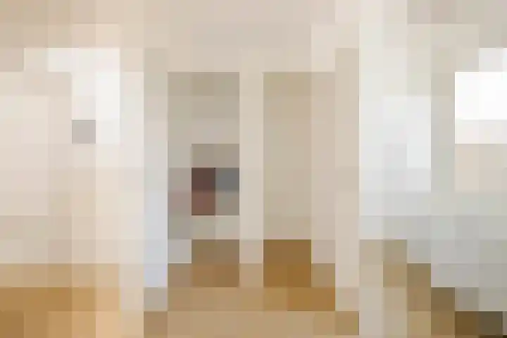 Grebberstraat 6 Haarlem thumbnail 31