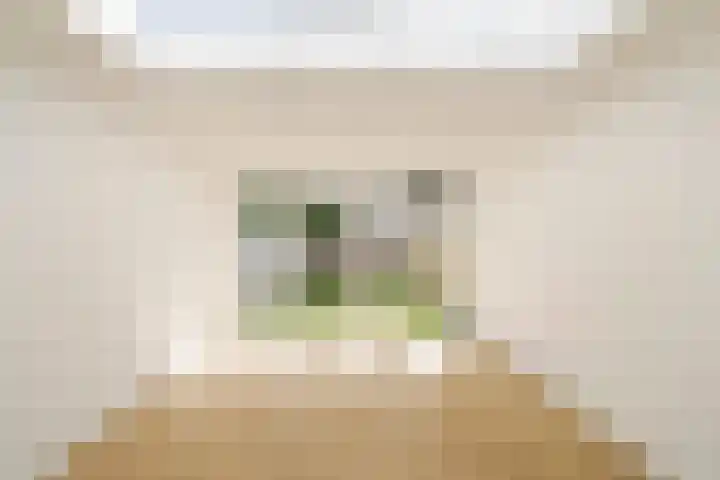 Grebberstraat 6 Haarlem thumbnail 6