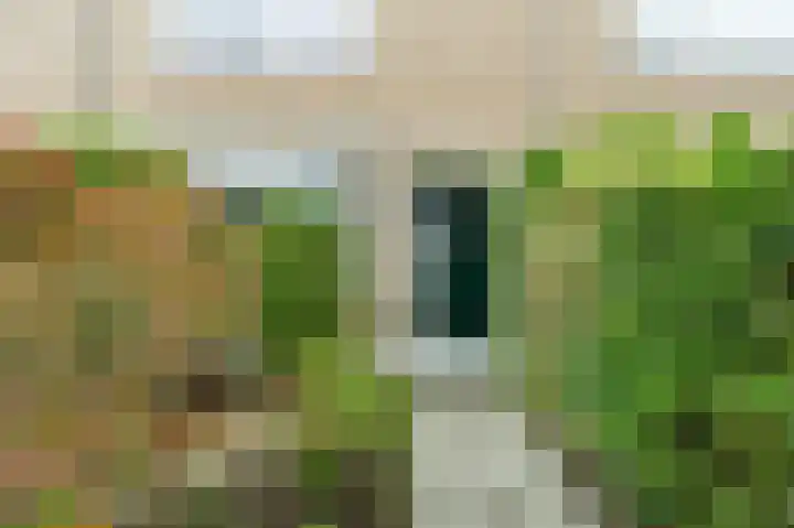 Grebbestraat 15 Oud-Beijerland thumbnail 4