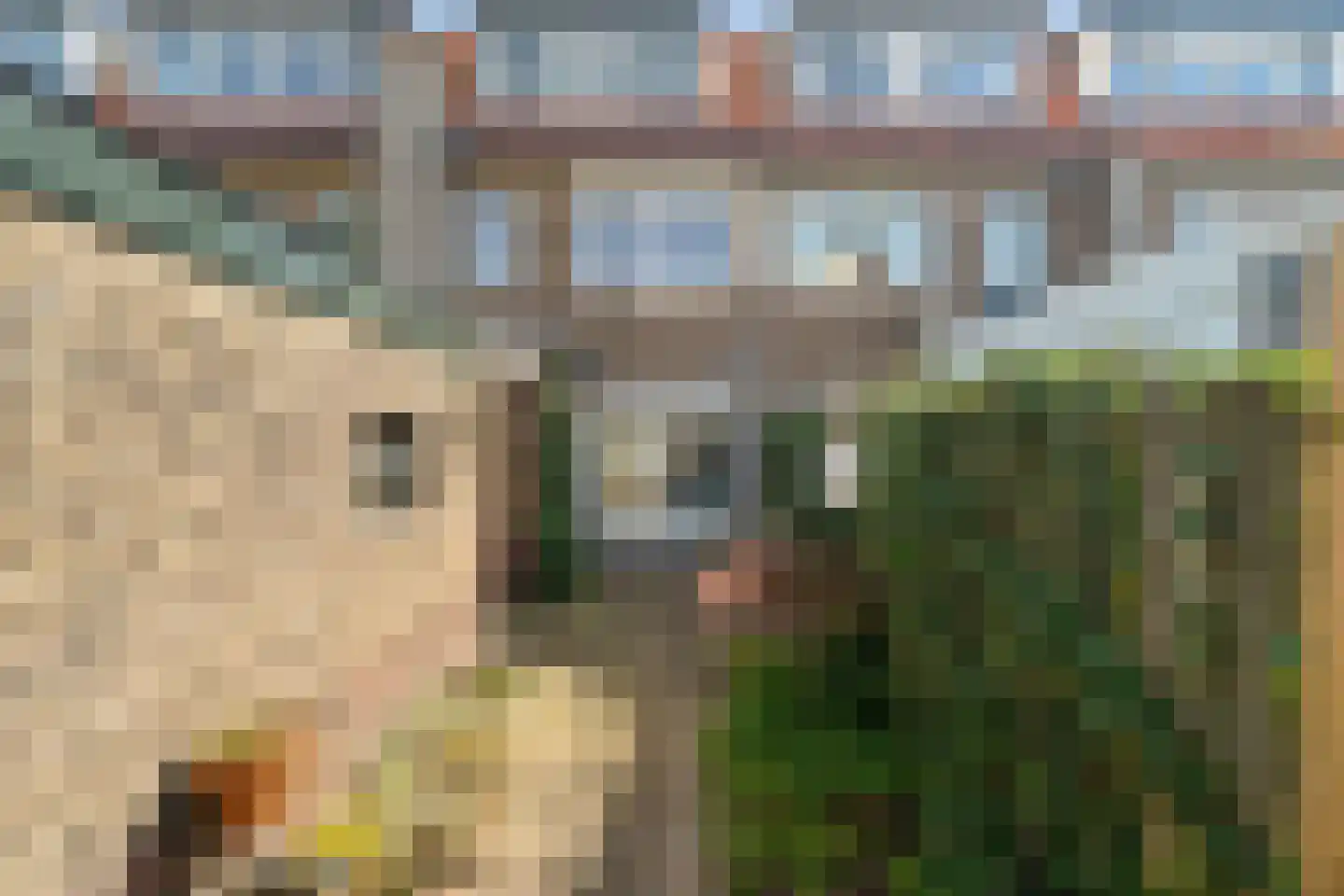 Grebbestraat 18 Amersfoort thumbnail 38