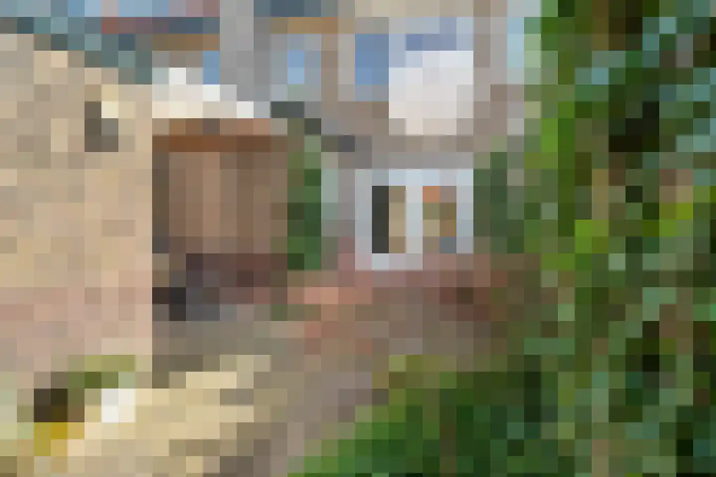 Grebbestraat 18 Amersfoort thumbnail 39