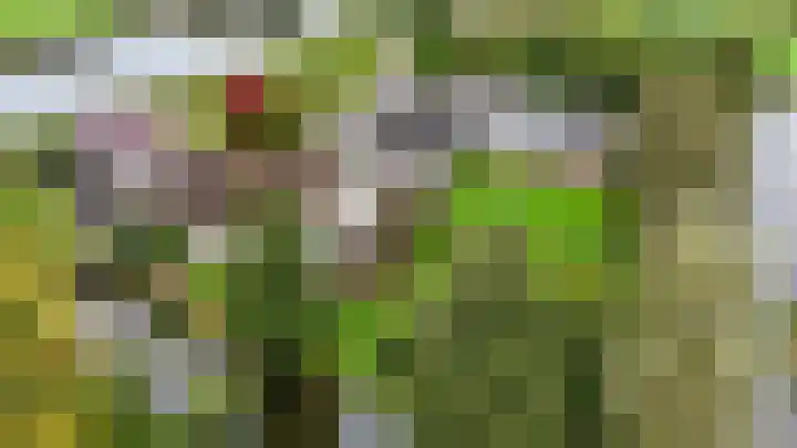 Grechtkade 12 Woerdense Verlaat thumbnail 11