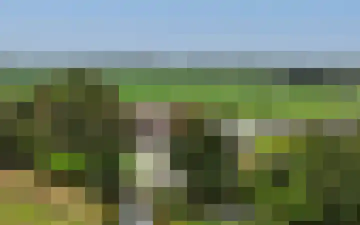 Grechtkade 12 Woerdense Verlaat thumbnail 13