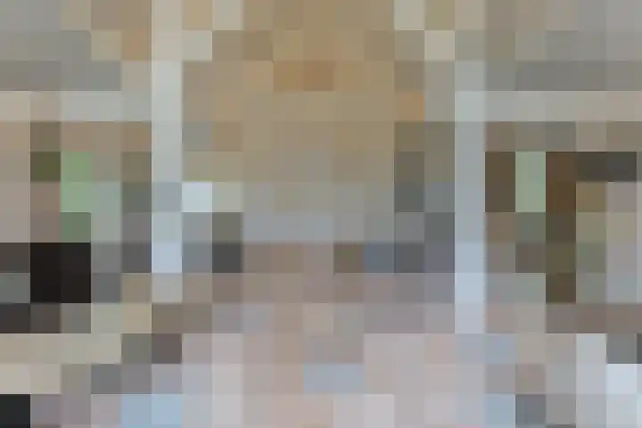 Grechtkade 12 Woerdense Verlaat thumbnail 26
