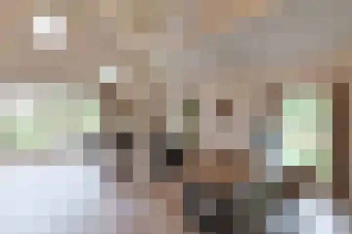 Grechtkade 12 Woerdense Verlaat thumbnail 29