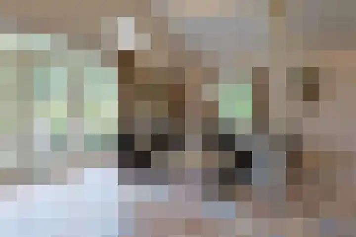 Grechtkade 12 Woerdense Verlaat thumbnail 34