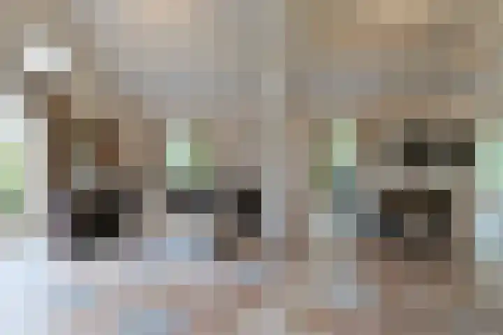 Grechtkade 12 Woerdense Verlaat thumbnail 35