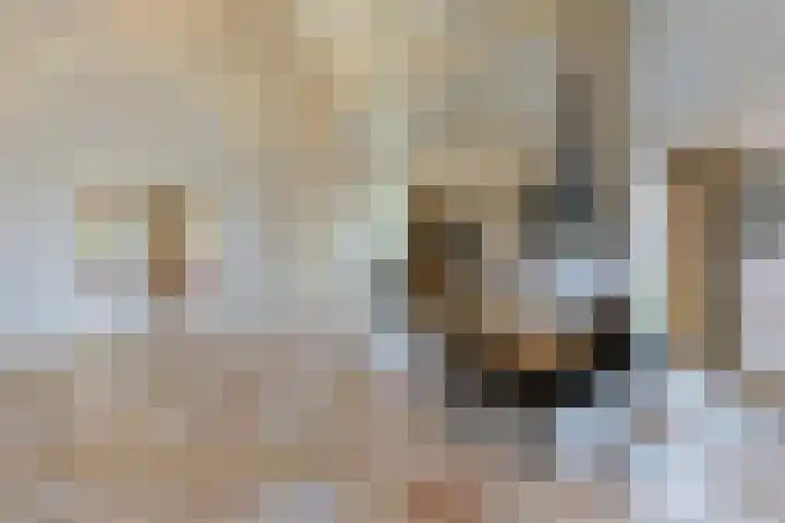 Grechtkade 12 Woerdense Verlaat thumbnail 38