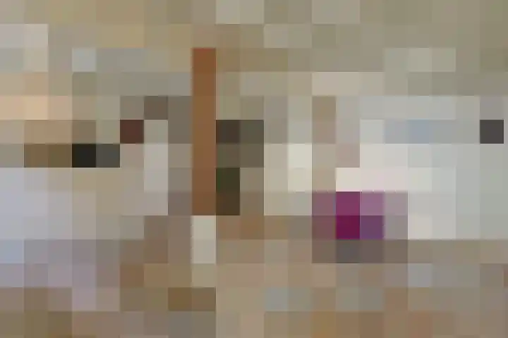 Grechtkade 12 Woerdense Verlaat thumbnail 41