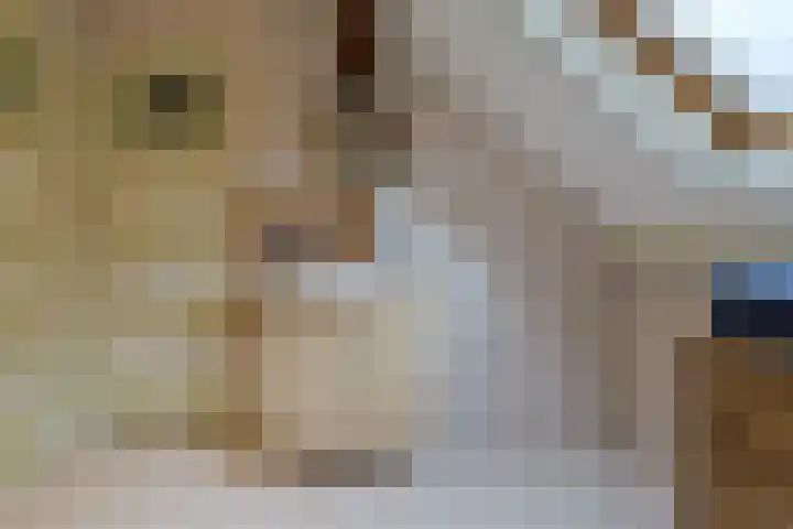 Grechtkade 12 Woerdense Verlaat thumbnail 57
