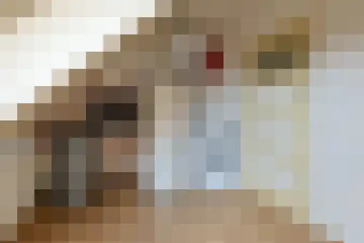 Grechtkade 12 Woerdense Verlaat thumbnail 64