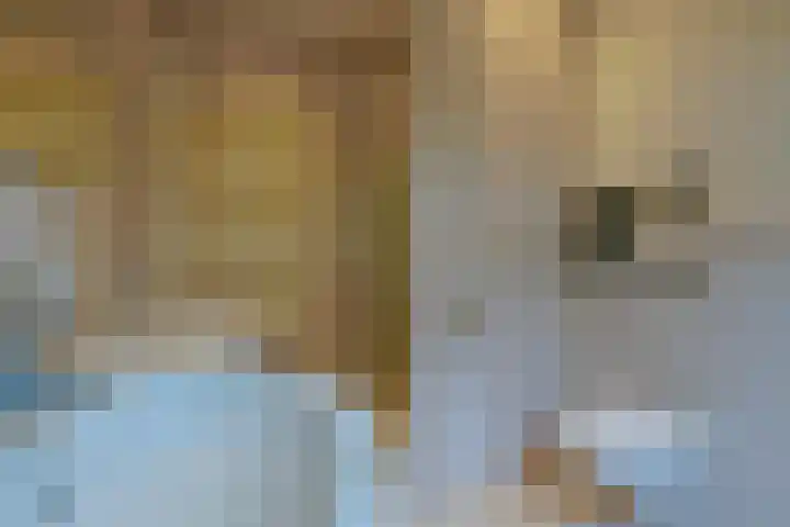 Grechtkade 12 Woerdense Verlaat thumbnail 67