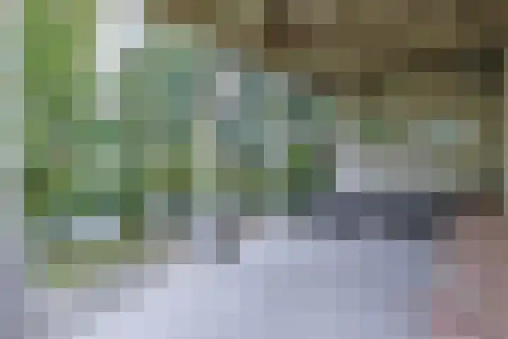 Grechtkade 12 Woerdense Verlaat thumbnail 77