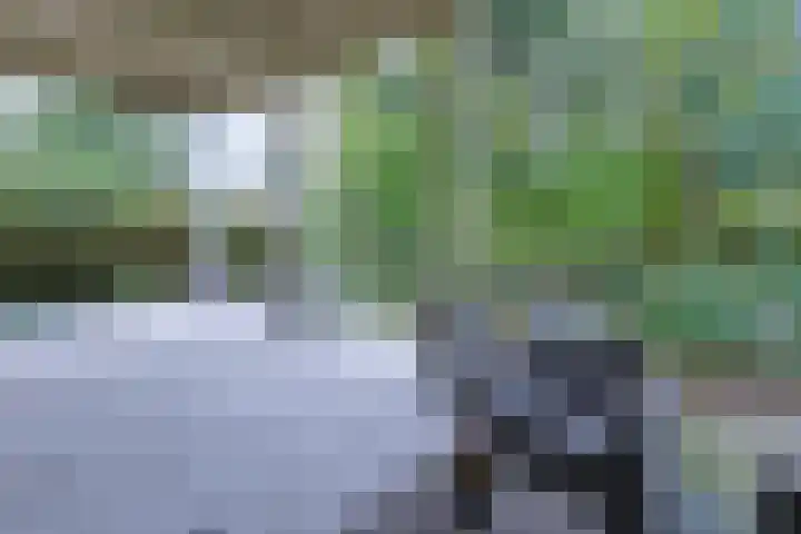Grechtkade 12 Woerdense Verlaat thumbnail 78