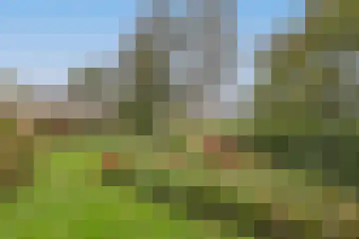 Grechtkade 12 Woerdense Verlaat thumbnail 81