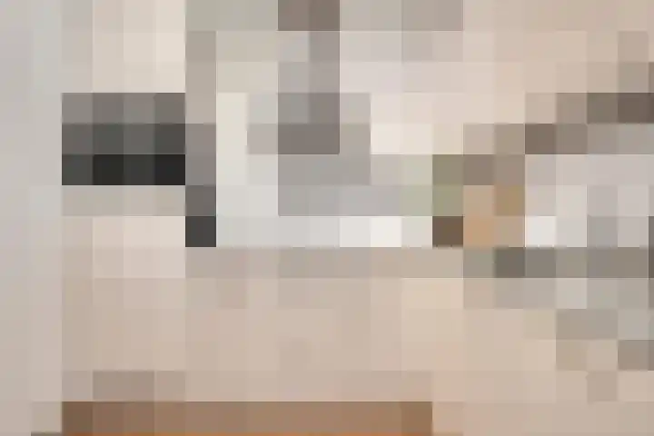 Greeflaan 3 Wouw thumbnail 11