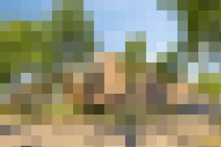 Greeflaan 3 Wouw thumbnail 28