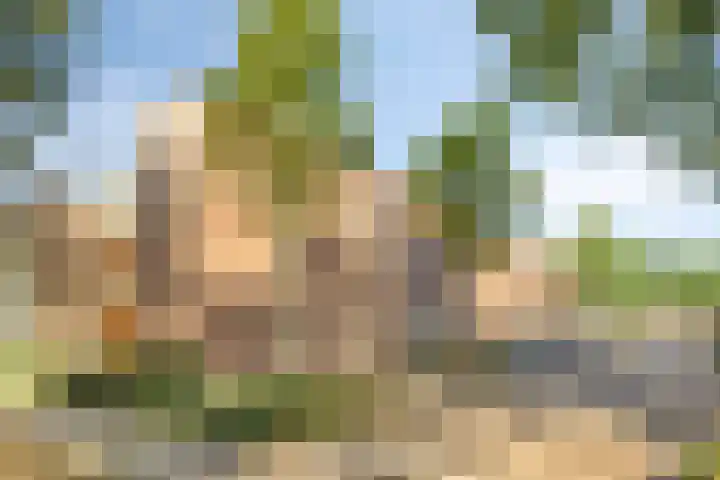 Greeflaan 3 Wouw thumbnail 29