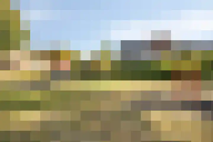 Greeflaan 3 Wouw thumbnail 30