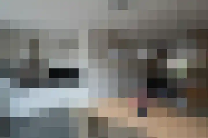 Greeflaan 37 Wouw thumbnail 10