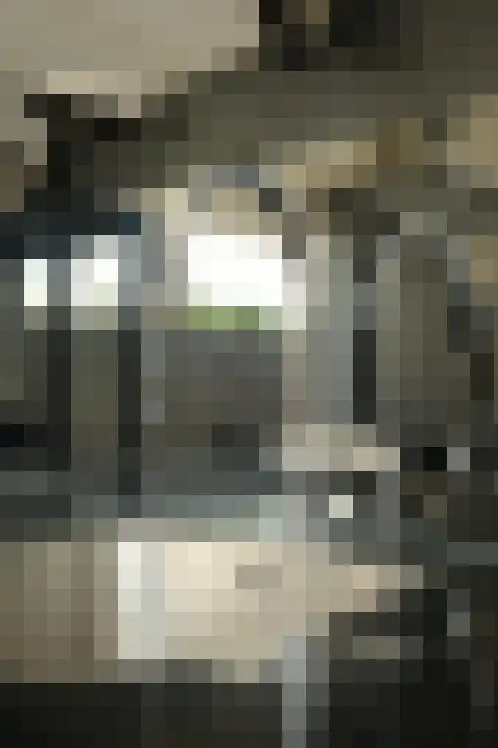 Greeflaan 37 Wouw thumbnail 12