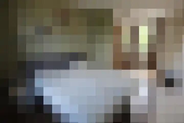 Greeflaan 37 Wouw thumbnail 21