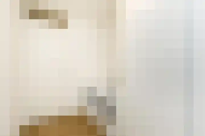 Greeflaan 37 Wouw thumbnail 29
