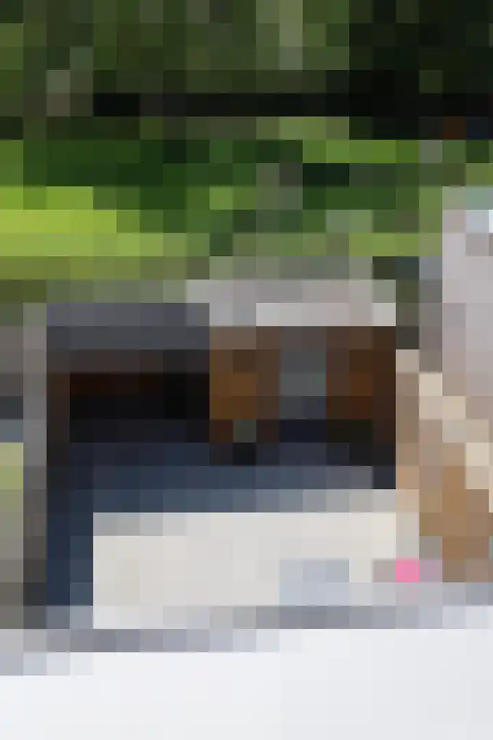 Greeflaan 37 Wouw thumbnail 34