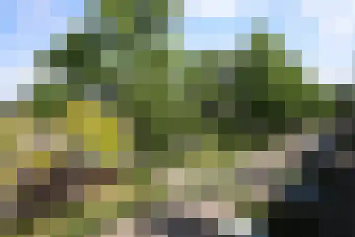 Greeflaan 37 Wouw thumbnail 36