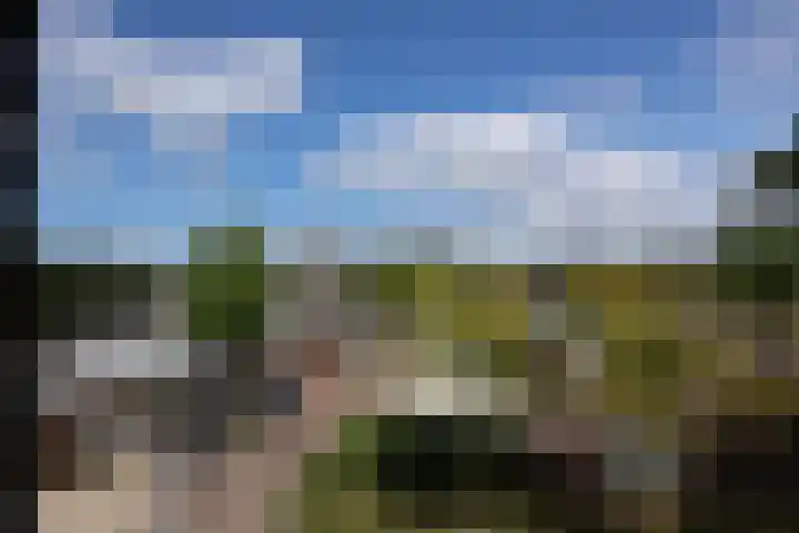 Greeflaan 37 Wouw thumbnail 37