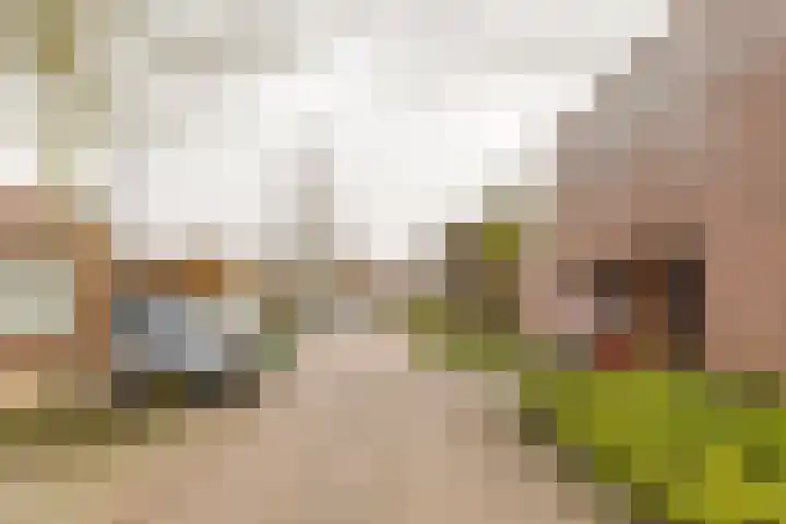 Greeflaan 37 Wouw thumbnail 41