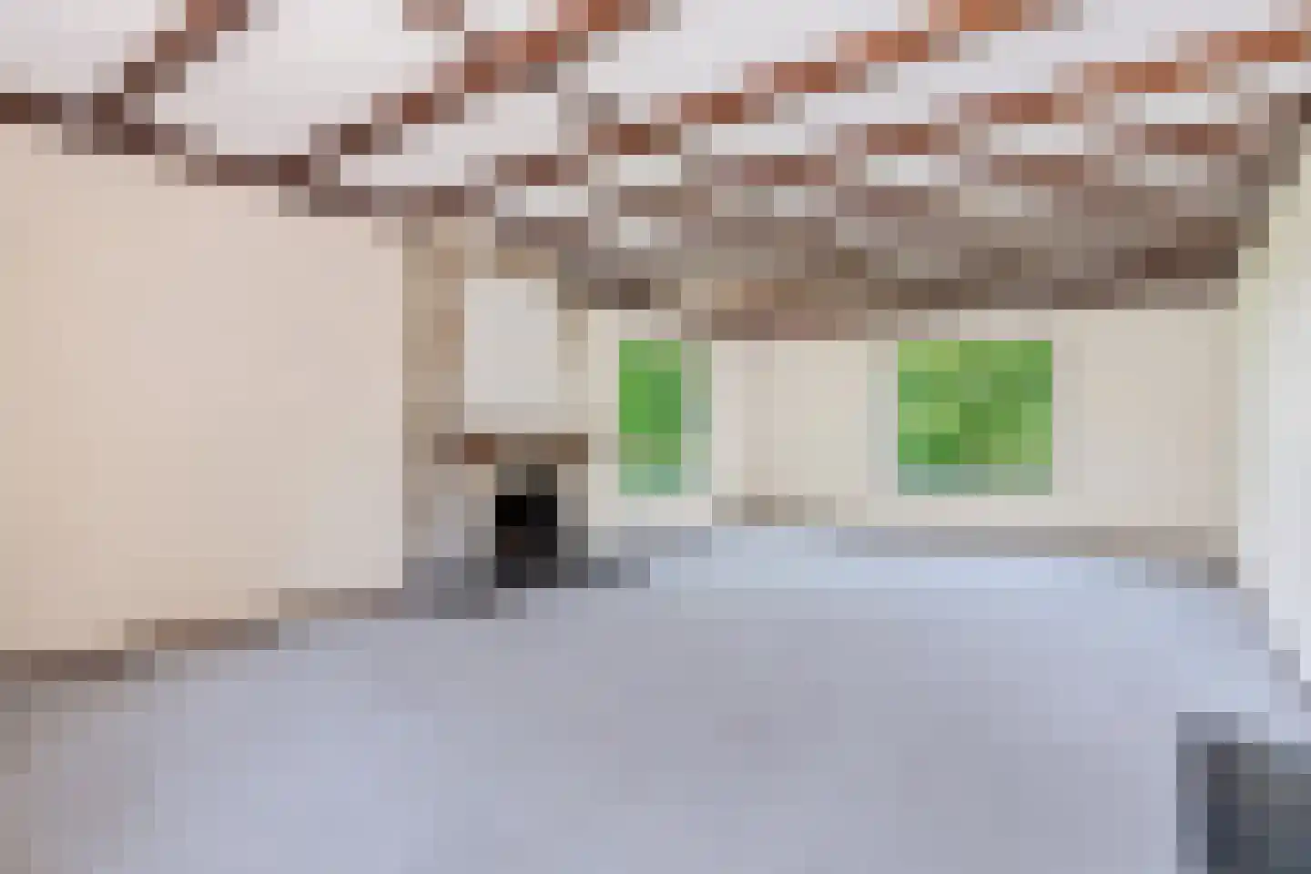 Greekerinckskamp 8 Delden thumbnail 15