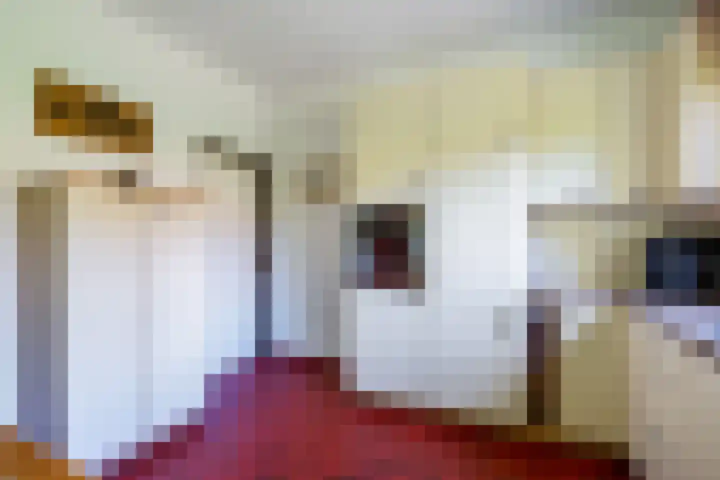 Greekerinckskamp 8 Delden thumbnail 26