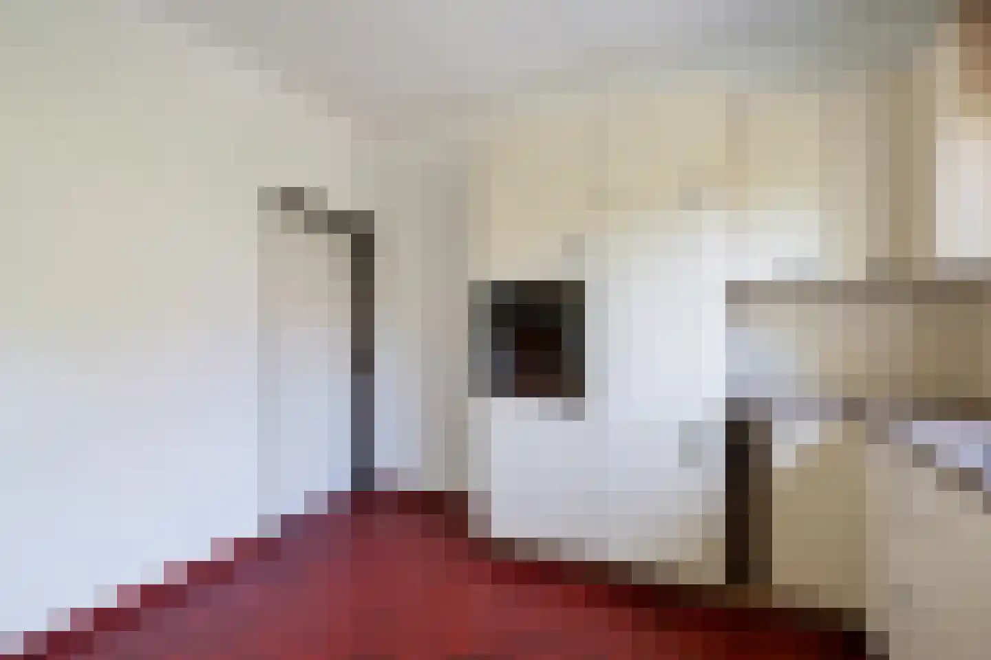Greekerinckskamp 8 Delden thumbnail 27