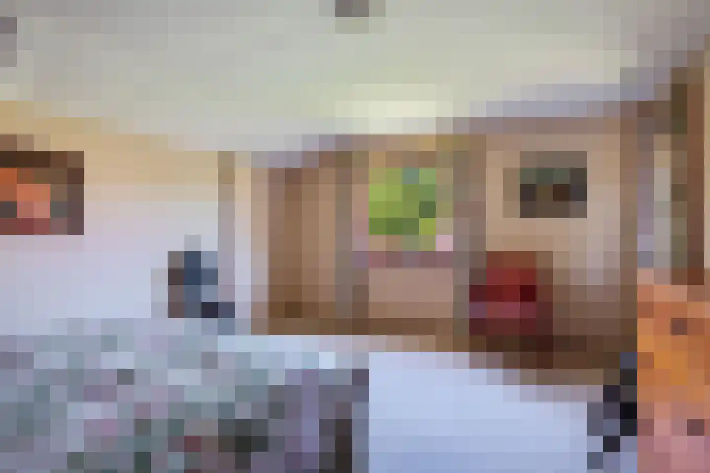 Greekerinckskamp 8 Delden thumbnail 32