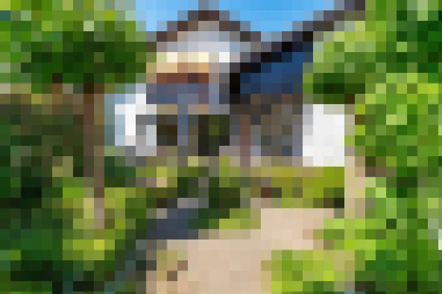 Greekerinckskamp 8 Delden thumbnail 39