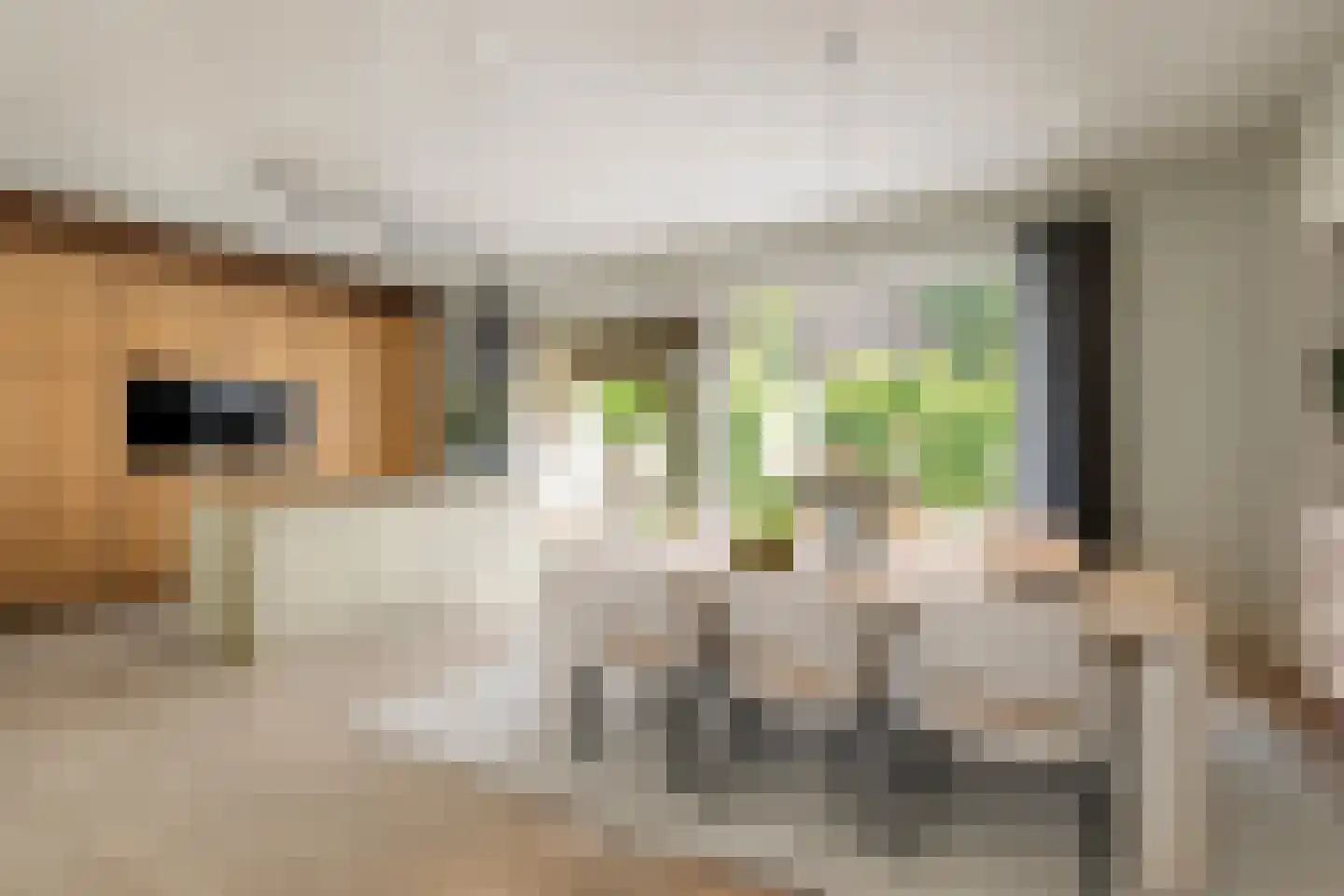 Greekerinckskamp 8 Delden thumbnail 4