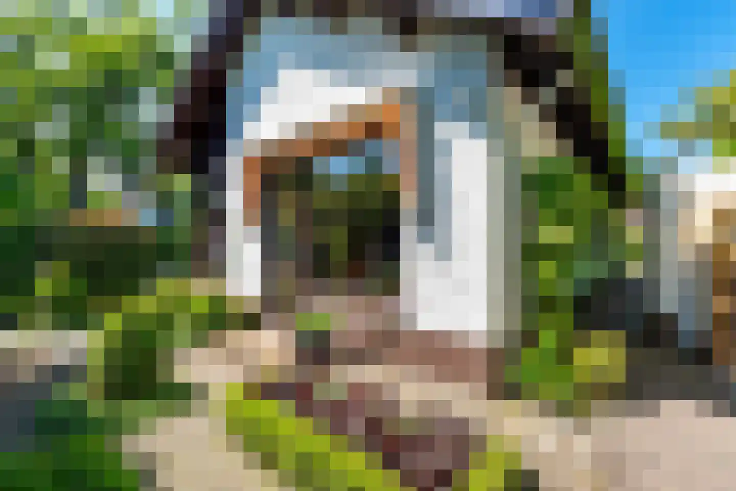 Greekerinckskamp 8 Delden thumbnail 41