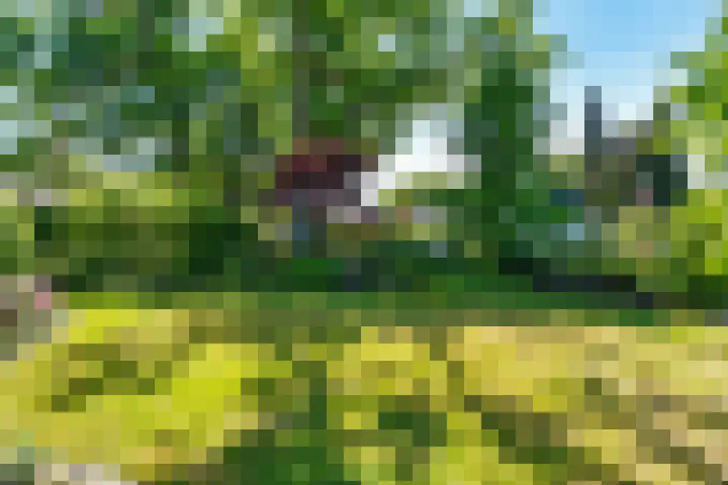 Greekerinckskamp 8 Delden thumbnail 42