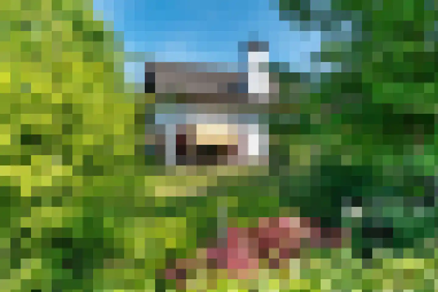 Greekerinckskamp 8 Delden thumbnail 46