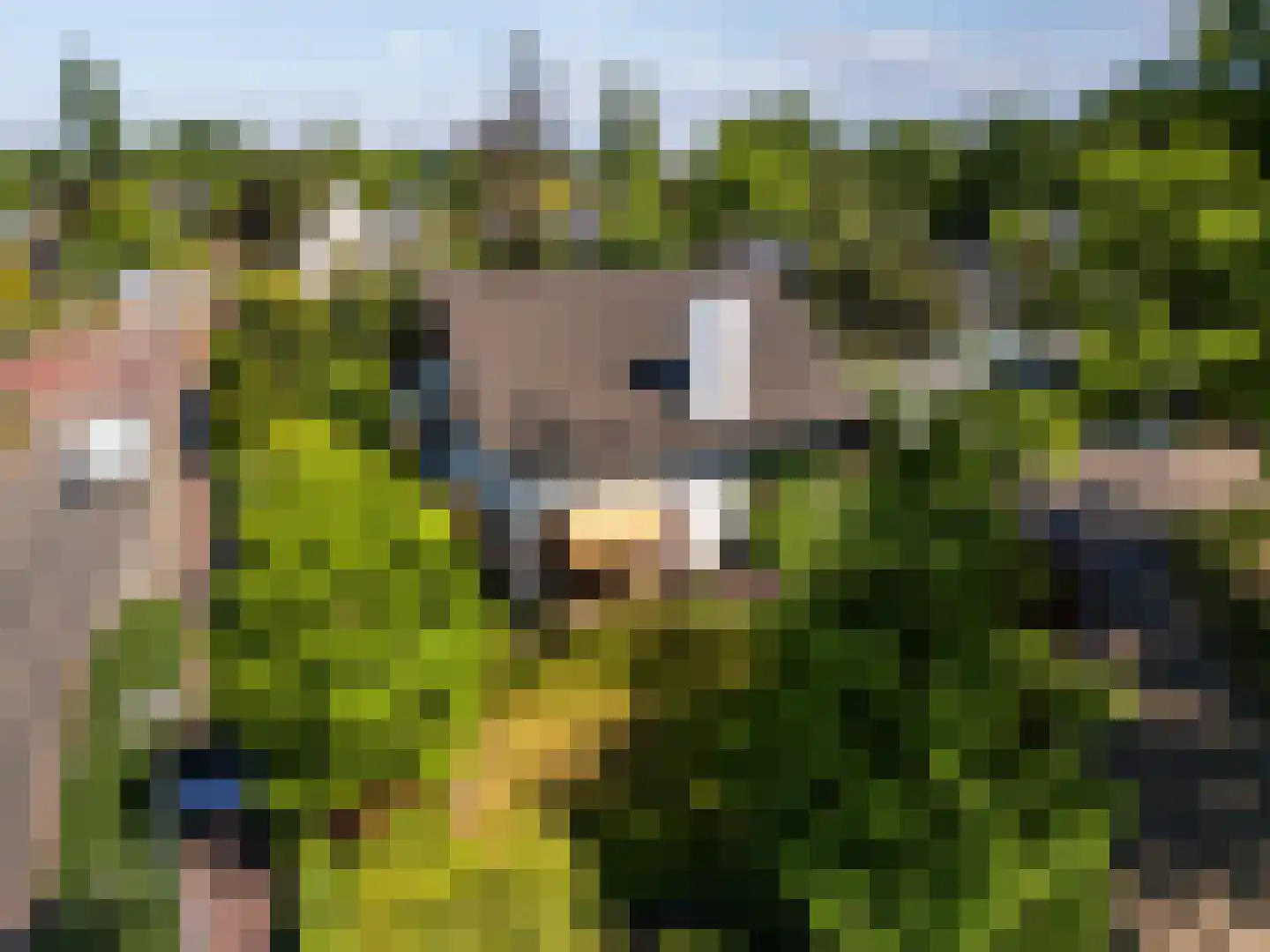 Greekerinckskamp 8 Delden thumbnail 47