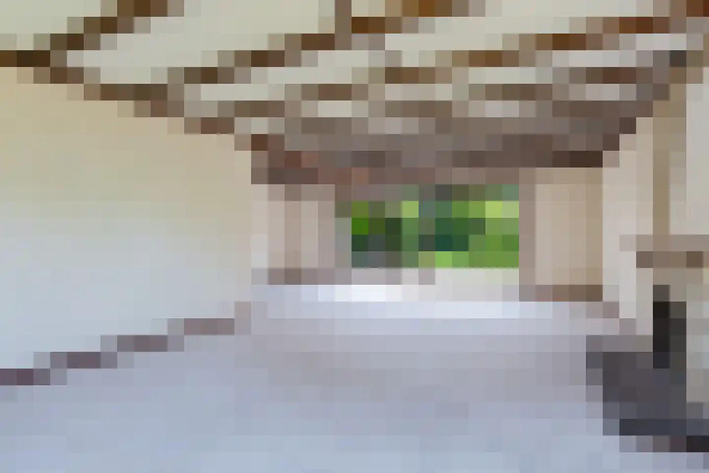 Greekerinckskamp 8 Delden thumbnail 5