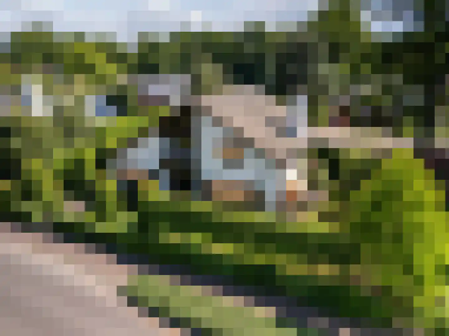 Greekerinckskamp 8 Delden thumbnail 56