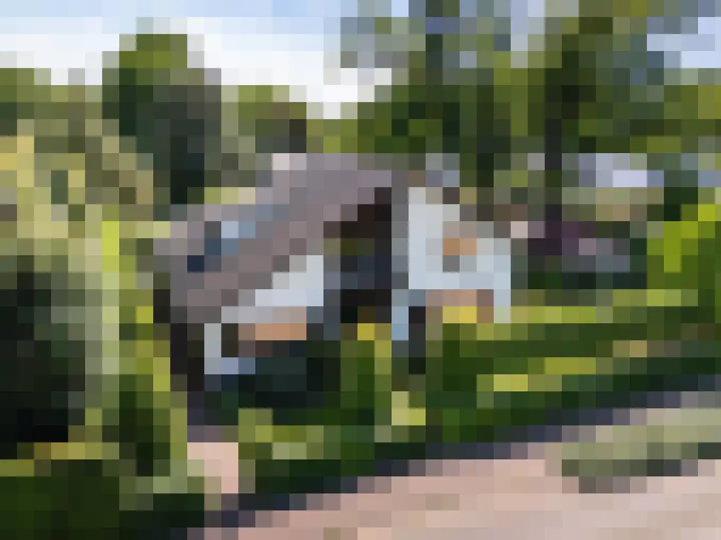 Greekerinckskamp 8 Delden thumbnail 7