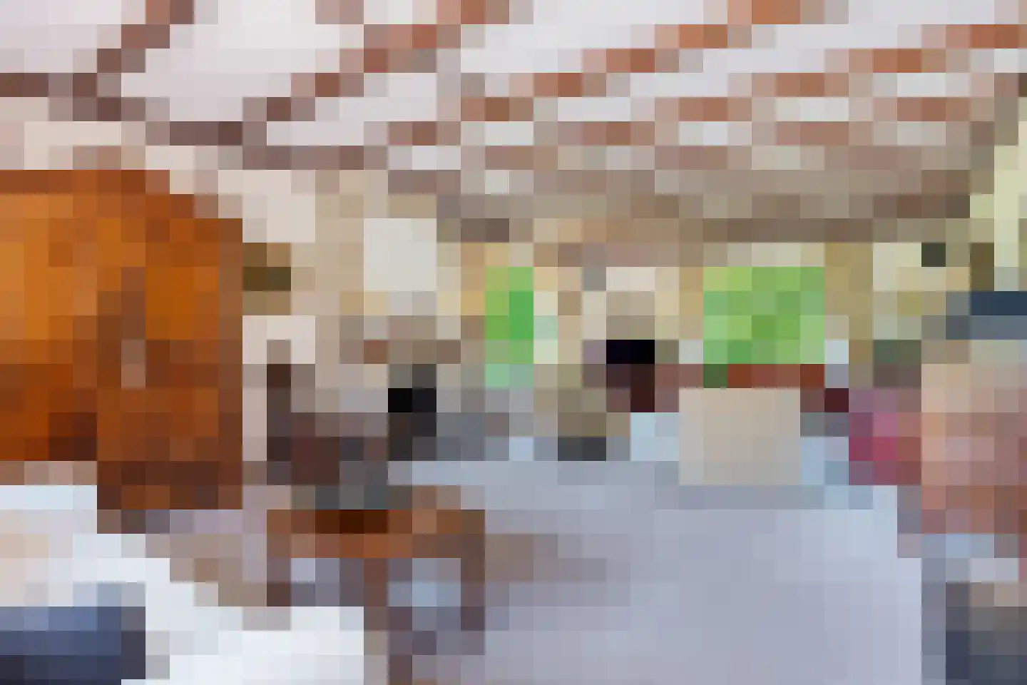 Greekerinckskamp 8 Delden thumbnail 7