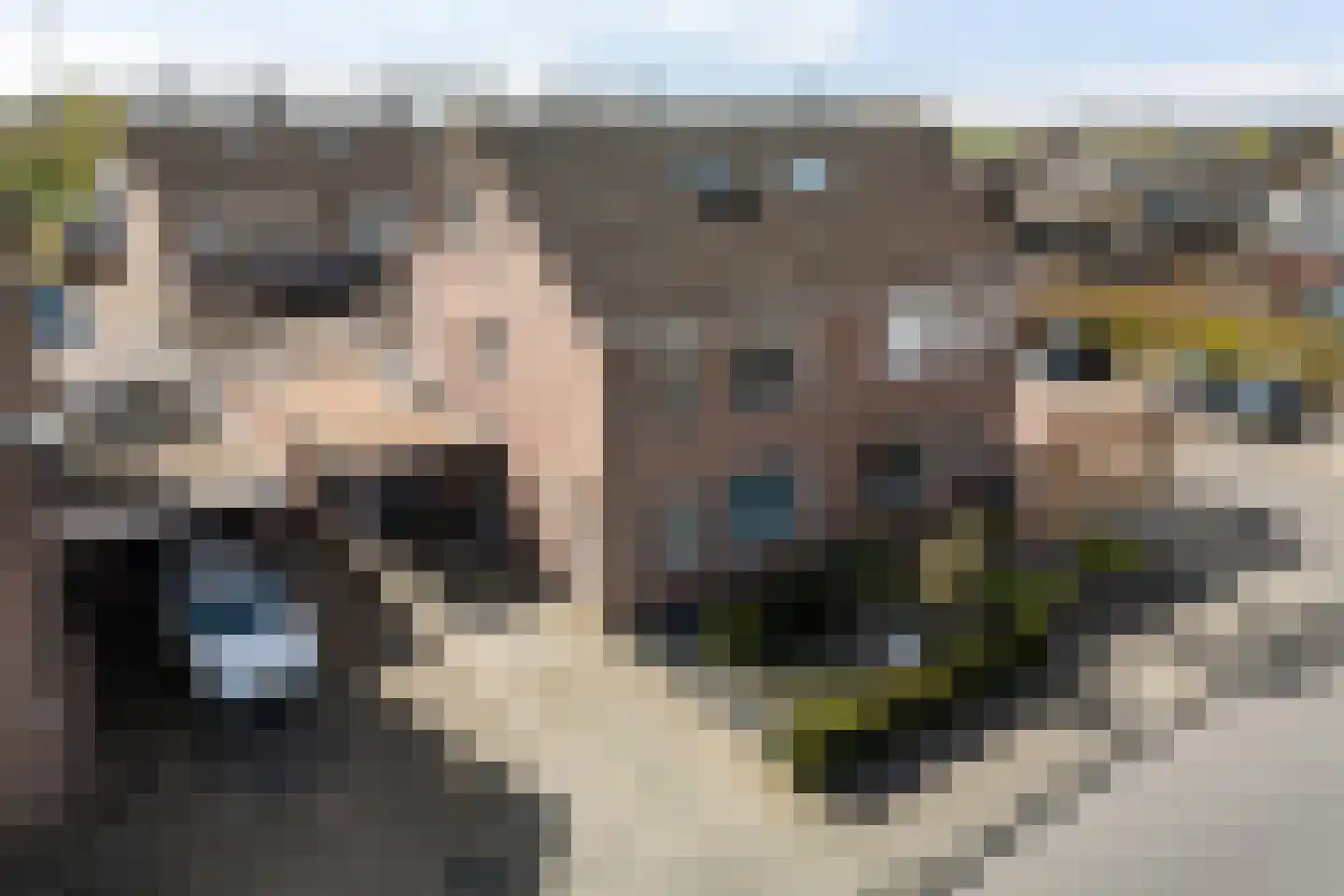 Greente 105 Genemuiden thumbnail 10