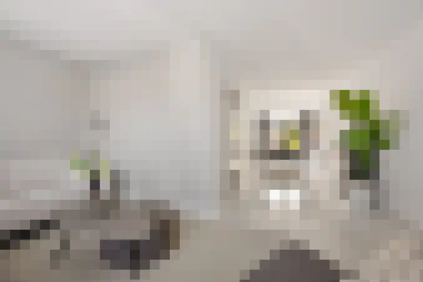Greente 105 Genemuiden thumbnail 16