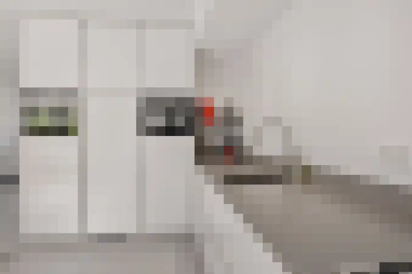 Greente 105 Genemuiden thumbnail 20
